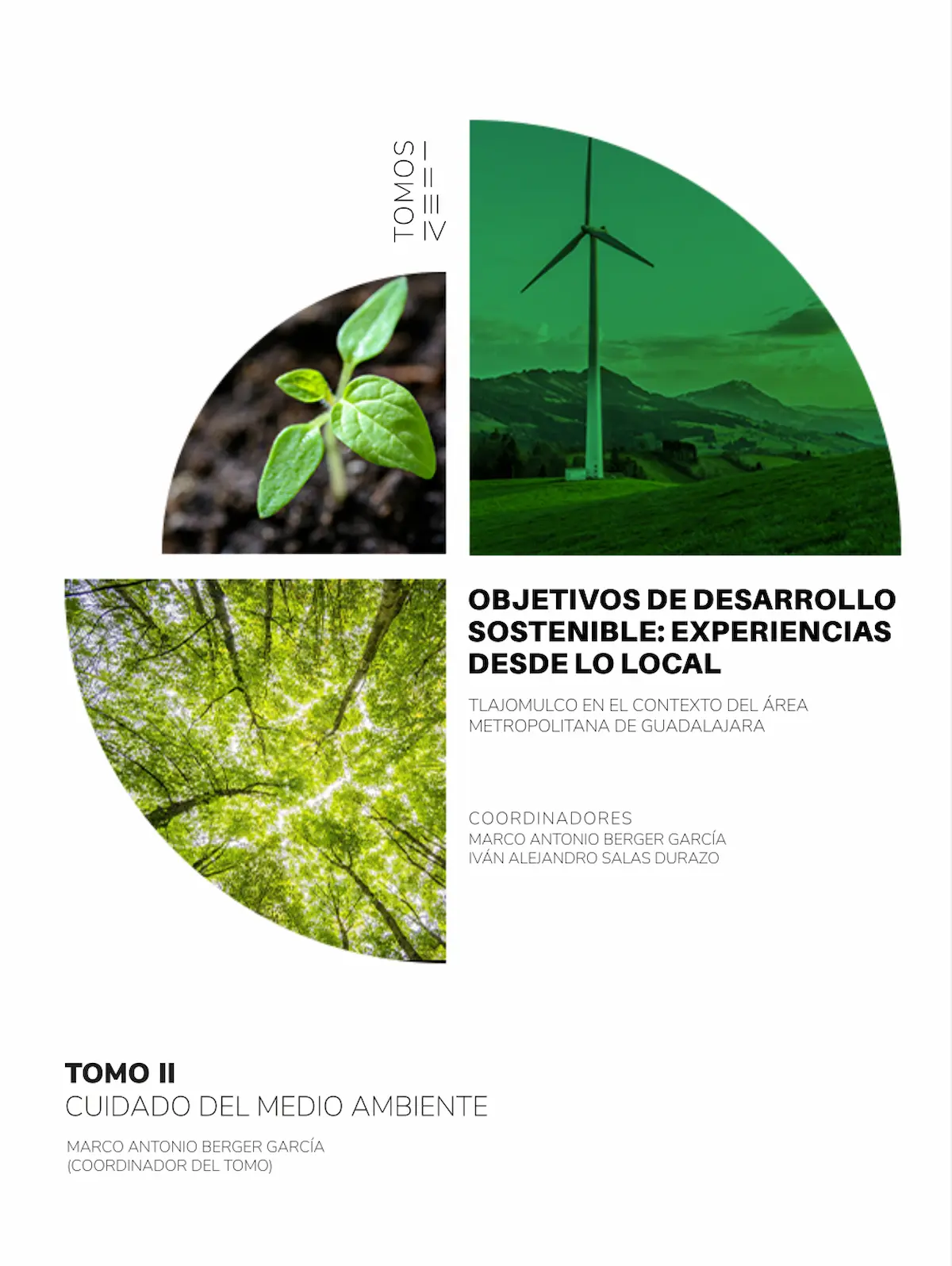 Descripción de la imagen